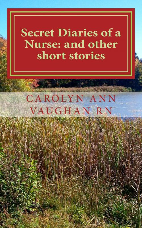 Cover of the book Secret Diaries of a Nurse: and other stories by Carolyn Ann Vaughan RN, Maritime Home Grown Publishing & Presentations