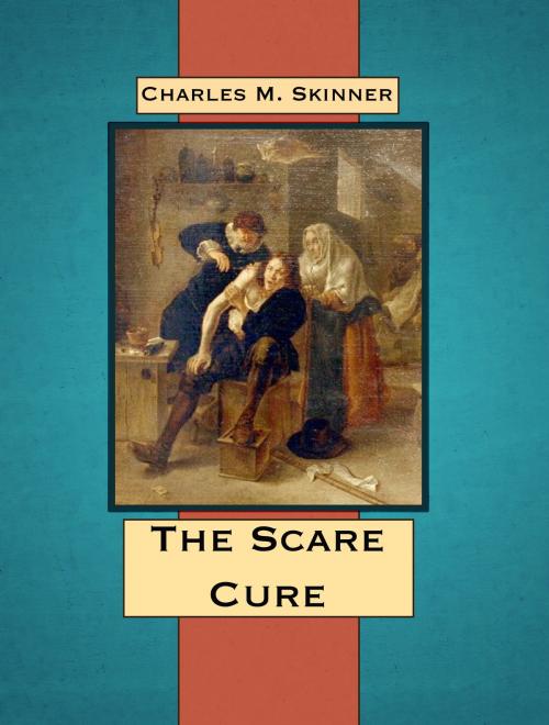 Cover of the book The Scare Cure by Charles M. Skinner, Media Galaxy