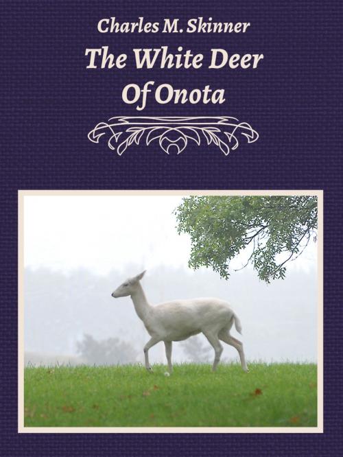 Cover of the book The White Deer Of Onota by Charles M. Skinner, Media Galaxy