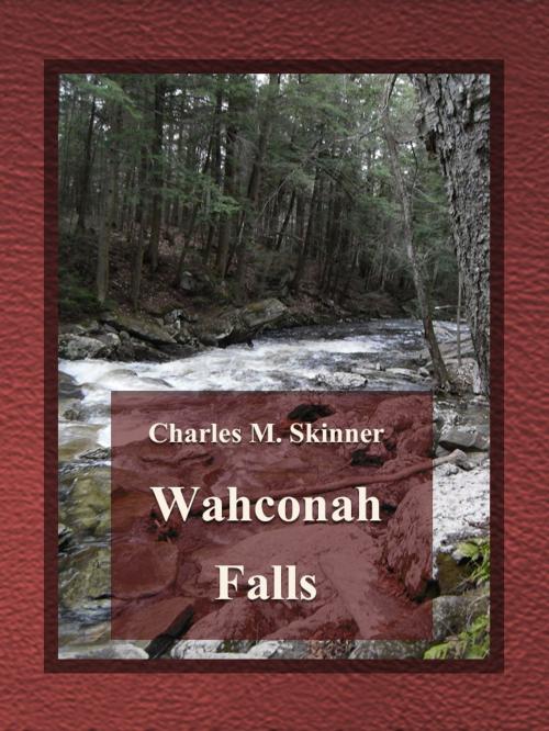 Cover of the book Wahconah Falls by Charles M. Skinner, Media Galaxy