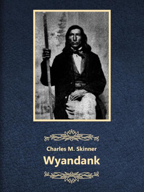 Cover of the book Wyandank by Charles M. Skinner, Media Galaxy