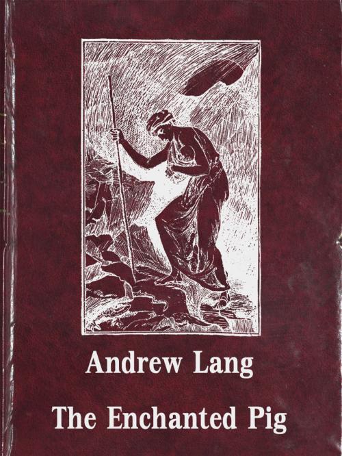 Cover of the book The Enchanted Pig by Andrew Lang, Media Galaxy