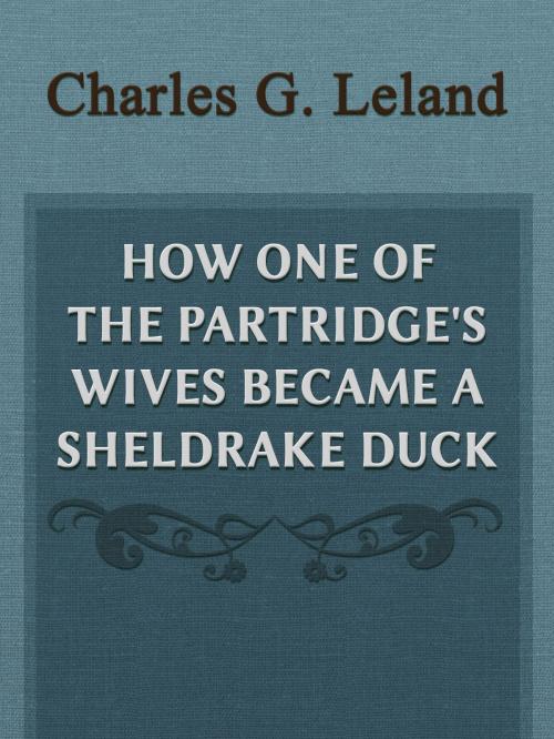 Cover of the book How One Of The Partridge's Wives Became A Sheldrake Duck by Charles G. Leland, Media Galaxy