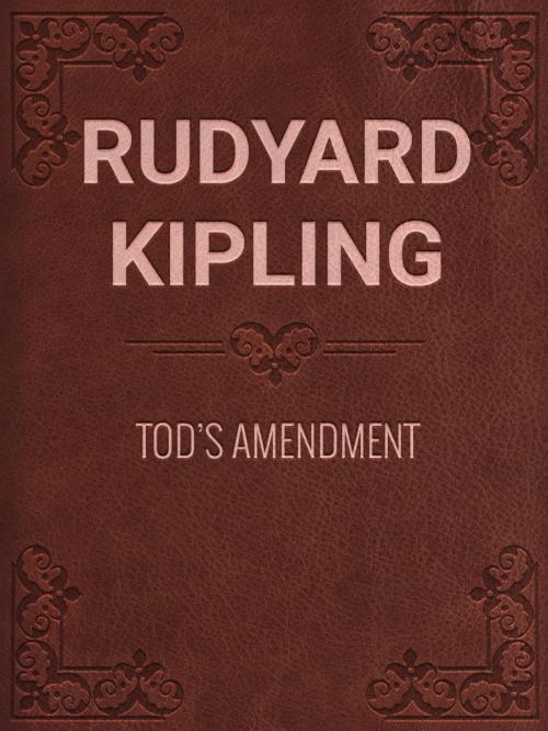 Cover of the book TOD'S AMENDMENT by Rudyard Kipling, Media Galaxy