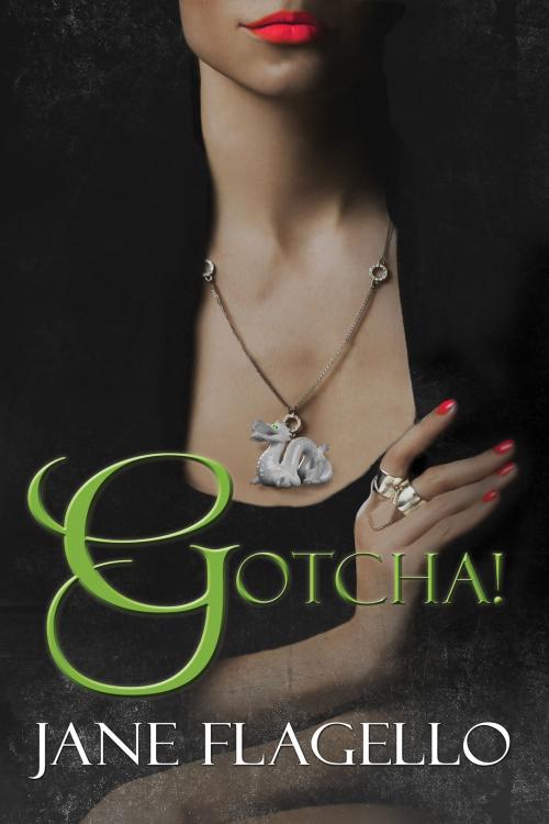 Cover of the book Gotcha! by Jane Flagello, Zig Zag Press, LLC