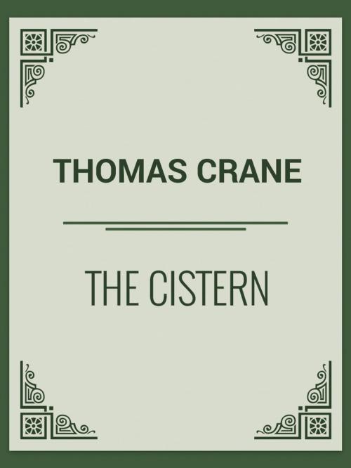 Cover of the book The Cistern by Thomas Crane, Media Galaxy