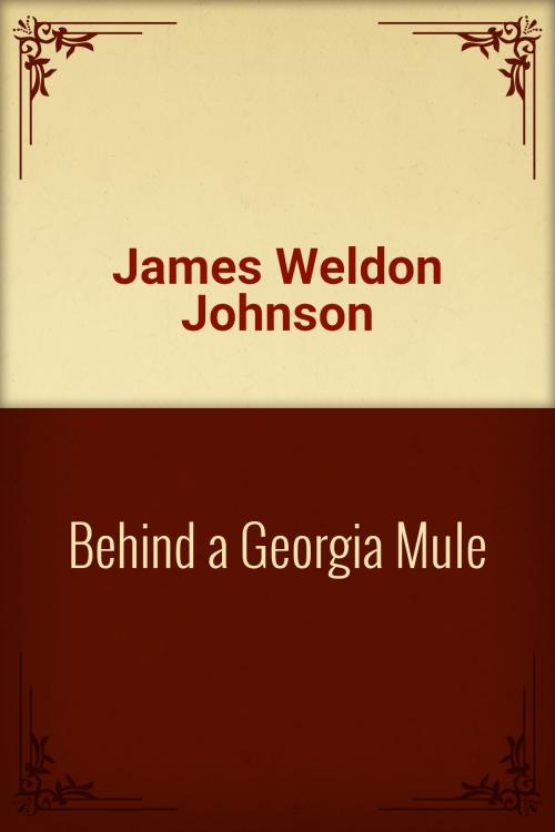 Cover of the book Behind a Georgia Mule by James Weldon Johnson, Media Galaxy
