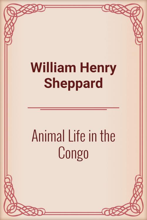 Cover of the book Animal Life in the Congo by William Henry Sheppard, Media Galaxy