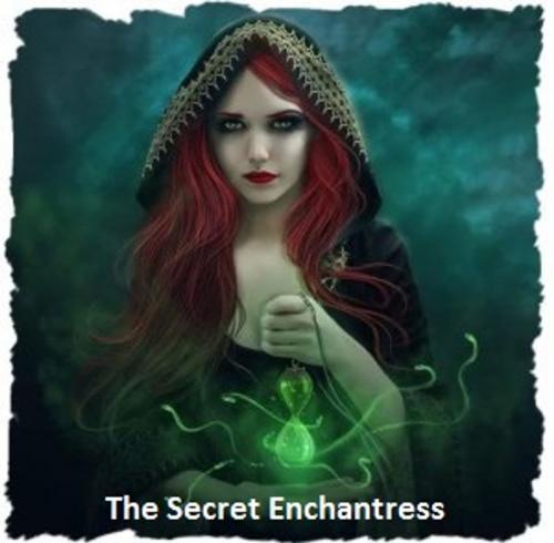 Cover of the book The Secret Enchantress by Bianca Collins, JHeileman Publications