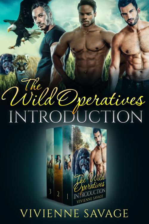 Cover of the book The Wild Operatives Introduction by Vivienne Savage, Payne & Taylor