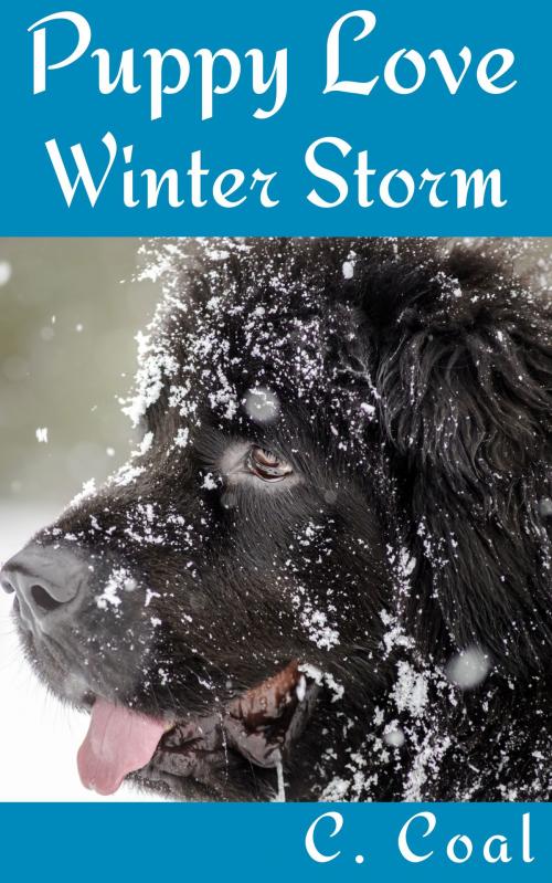 Cover of the book Puppy Love Winter Storm by C. Coal, C. Coal