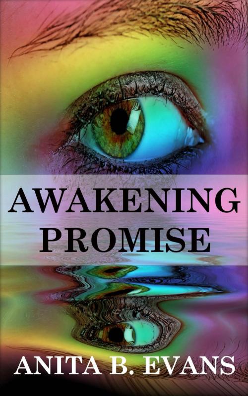 Cover of the book Awakening Promise by Anita Boston-Evans, createspace