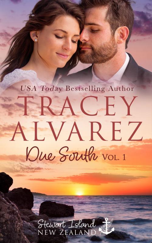 Cover of the book Due South Boxed Set by Tracey Alvarez, Icon Publishing