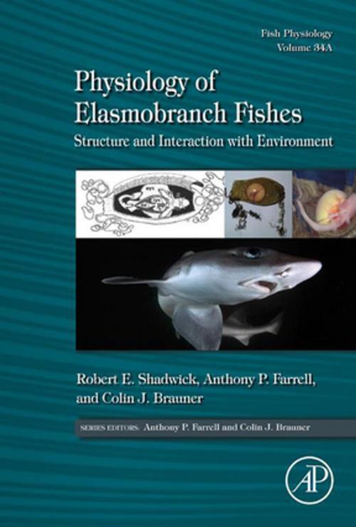 Cover of the book Physiology of Elasmobranch Fishes: Structure and Interaction with Environment by , Elsevier Science