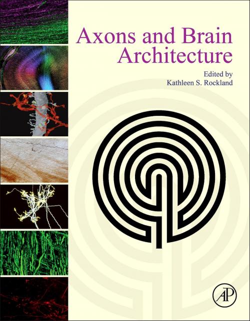 Cover of the book Axons and Brain Architecture by , Elsevier Science