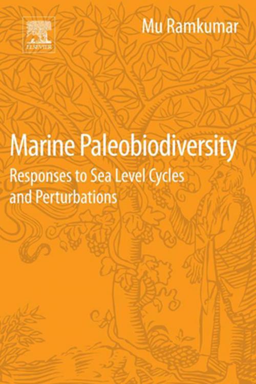 Cover of the book Marine Paleobiodiversity by Mu Ramkumar, Elsevier Science