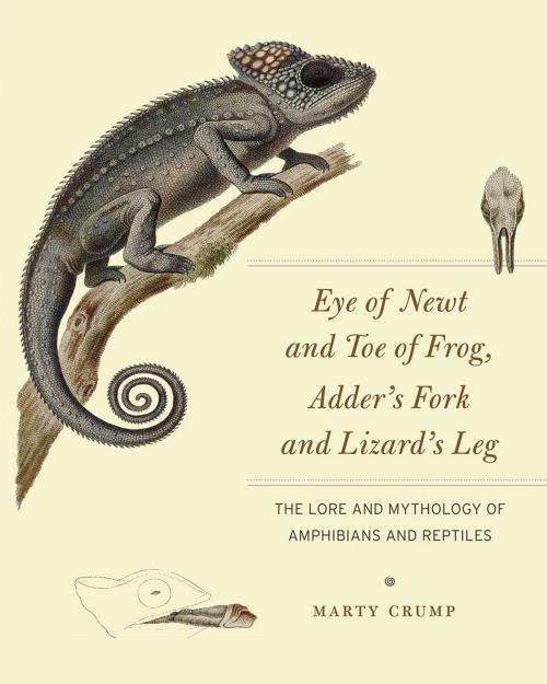 Cover of the book Eye of Newt and Toe of Frog, Adder's Fork and Lizard's Leg by Marty Crump, University of Chicago Press