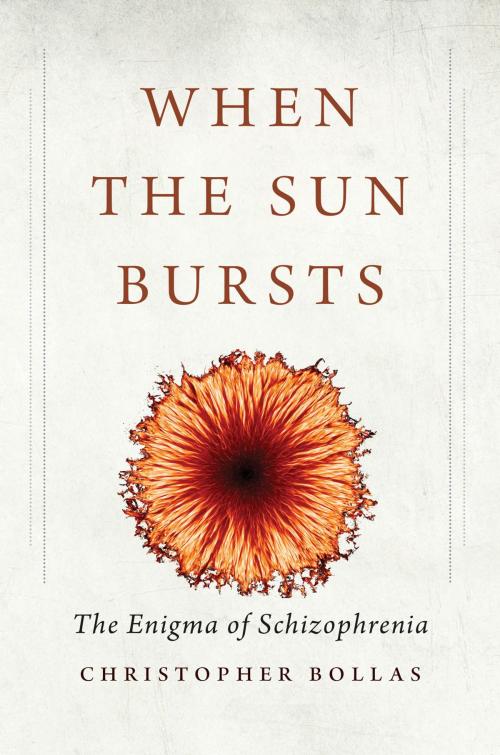 Cover of the book When the Sun Bursts by Christopher Bollas, Yale University Press