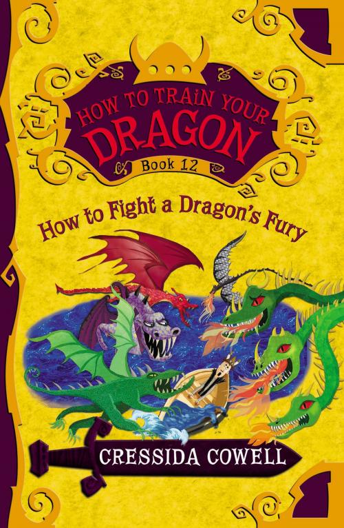 Cover of the book How to Train Your Dragon: How to Fight a Dragon's Fury by Cressida Cowell, Little, Brown Books for Young Readers