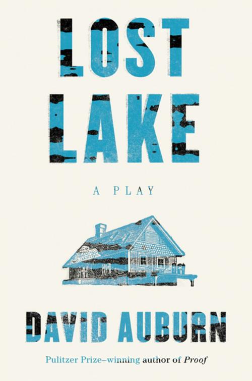 Cover of the book Lost Lake by David Auburn, Farrar, Straus and Giroux