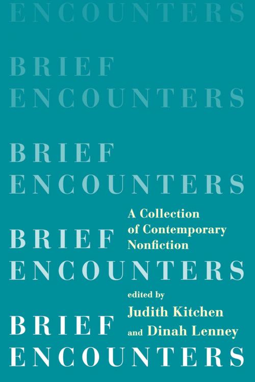 Cover of the book Brief Encounters: A Collection of Contemporary Nonfiction by , W. W. Norton & Company