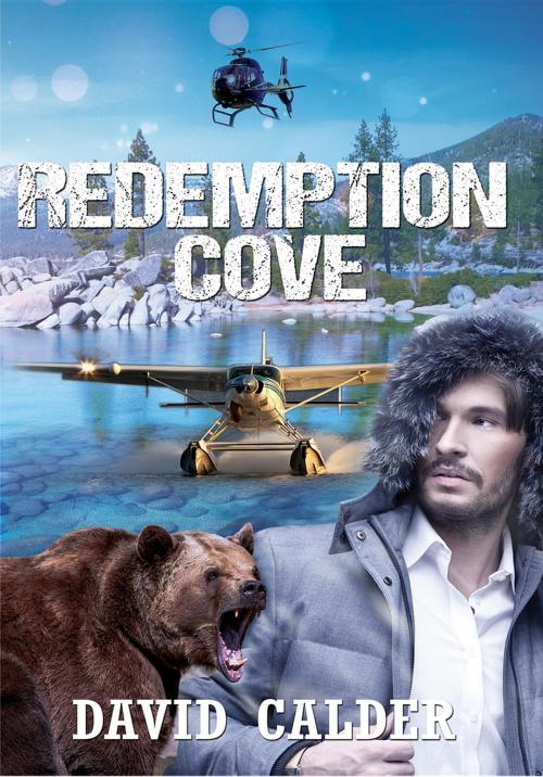Cover of the book Redemption Cove by David Calder, David Calder Books