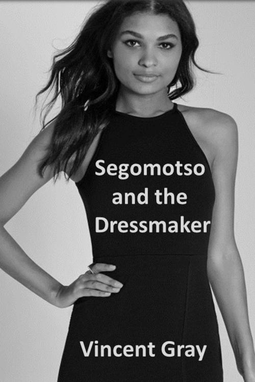 Cover of the book Segomotso and the Dressmaker by Vincent Gray, Vincent Gray