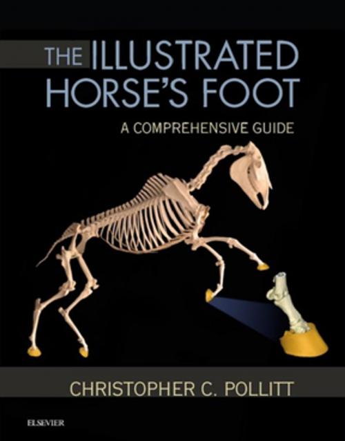 Cover of the book The Illustrated Horse's Foot - E-Book by Christopher C. Pollitt, BVSc, PhD, Elsevier Health Sciences