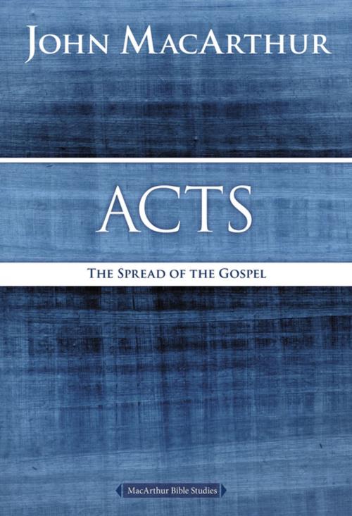 Cover of the book Acts by John F. MacArthur, Thomas Nelson