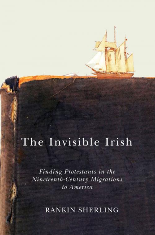 Cover of the book The Invisible Irish by Rankin Sherling, MQUP