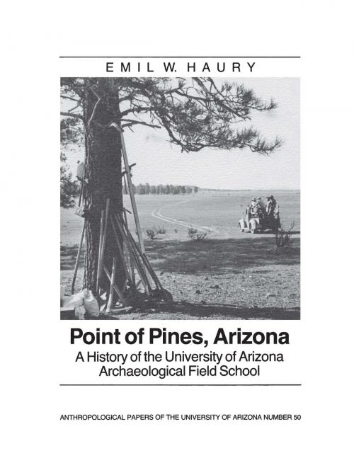 Cover of the book Point of Pines by Emil W. Haury, University of Arizona Press