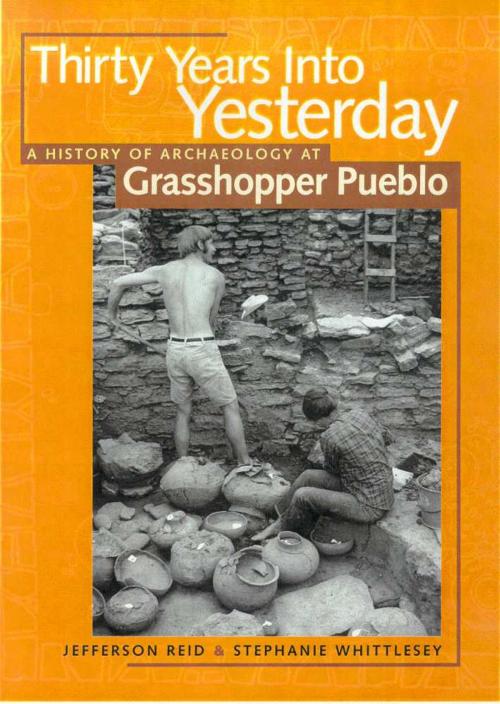 Cover of the book Thirty Years Into Yesterday by Jefferson Reid, Stephanie Whittlesey, University of Arizona Press