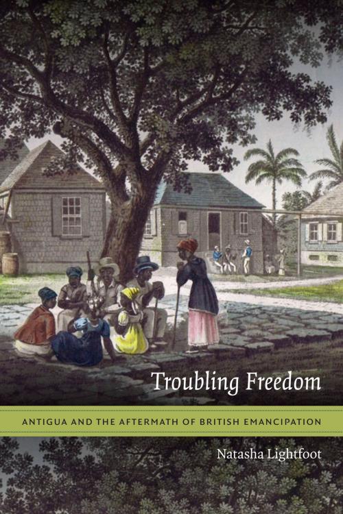 Cover of the book Troubling Freedom by Natasha Lightfoot, Duke University Press
