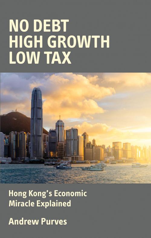 Cover of the book No Debt, High Growth, Low Tax by Andrew Purves, Shepheard-Walwyn