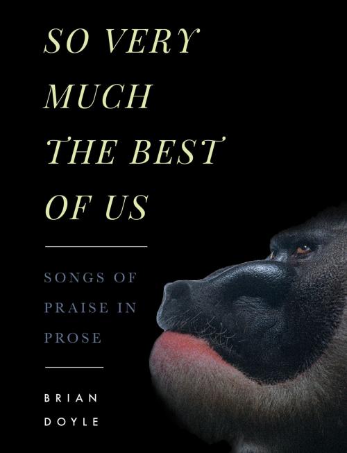 Cover of the book So Very Much the Best of Us by Brian Doyle, ACTA Publications