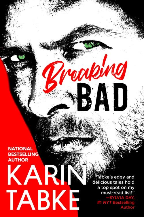 Cover of the book BREAKING BAD by Karin Tabke, Karin Tabke LLC