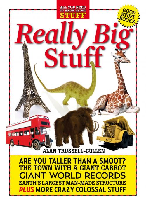 Cover of the book Really Big Stuff by Alan Trussell-Cullen, Learning Connections Co Ltd