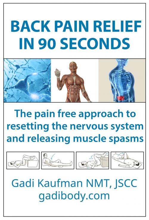 Cover of the book Back Pain Relief in 90 Seconds by Gadi Kaufman, neuromuscular therapy/scs