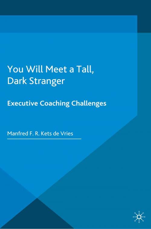 Cover of the book You Will Meet a Tall, Dark Stranger by Manfred F.R. Kets de Vries, Palgrave Macmillan UK