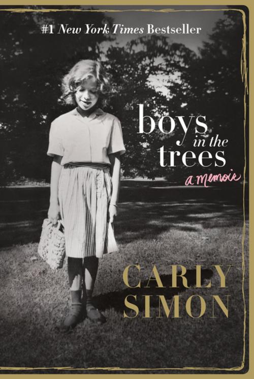 Cover of the book Boys in the Trees by Carly Simon, Flatiron Books
