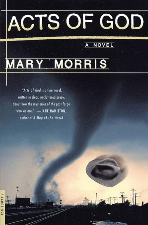 Cover of the book Acts of God by Mary Morris, Picador