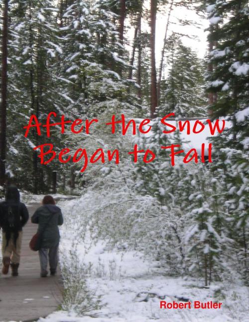 Cover of the book After the Snow Began to Fall by Robert Butler, Lulu.com