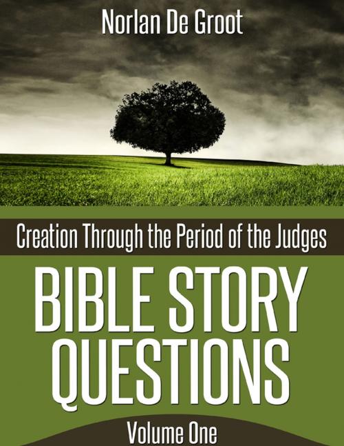 Cover of the book Bible Story Questions Volume One: Creation Through the Period of the Judges by Norlan De Groot, Lulu.com