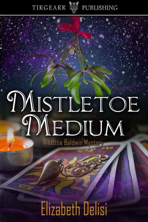Cover of the book Mistletoe Medium by Elizabeth Delisi, Tirgearr Publishing