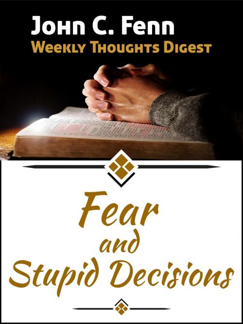 Cover of the book Fear and Stupid Decisions by John C. Fenn, John C. Fenn