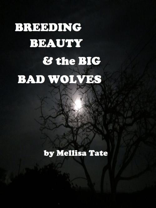 Cover of the book Breeding Beauty & the Big Bad Wolves by Mellisa Tate, Mellisa Tate