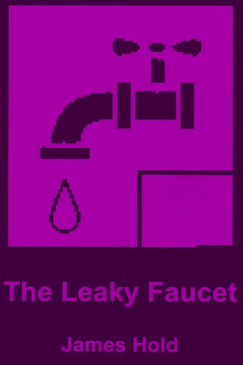Cover of the book The Leaky Faucet by James Hold, James Hold