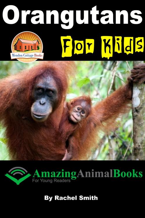 Cover of the book Orangutans For Kids by Rachel Smith, Mendon Cottage Books