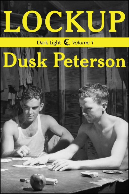 Cover of the book Lockup (Dark Light, Volume 1) by Dusk Peterson, Dusk Peterson