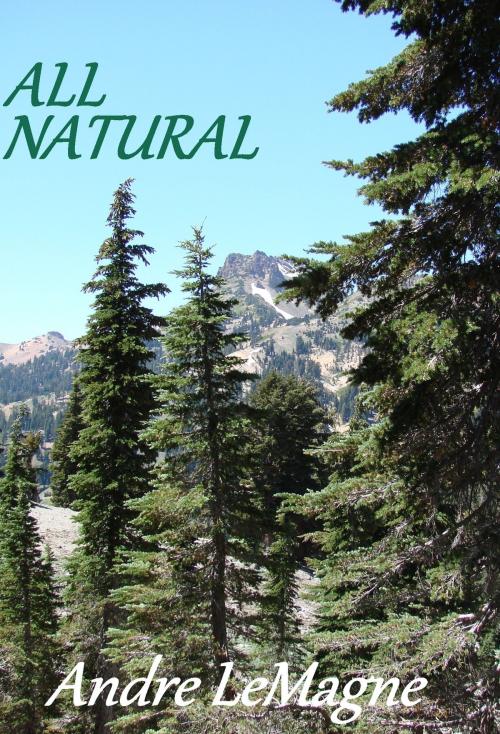 Cover of the book All Natural by Andre LeMagne, Andre LeMagne